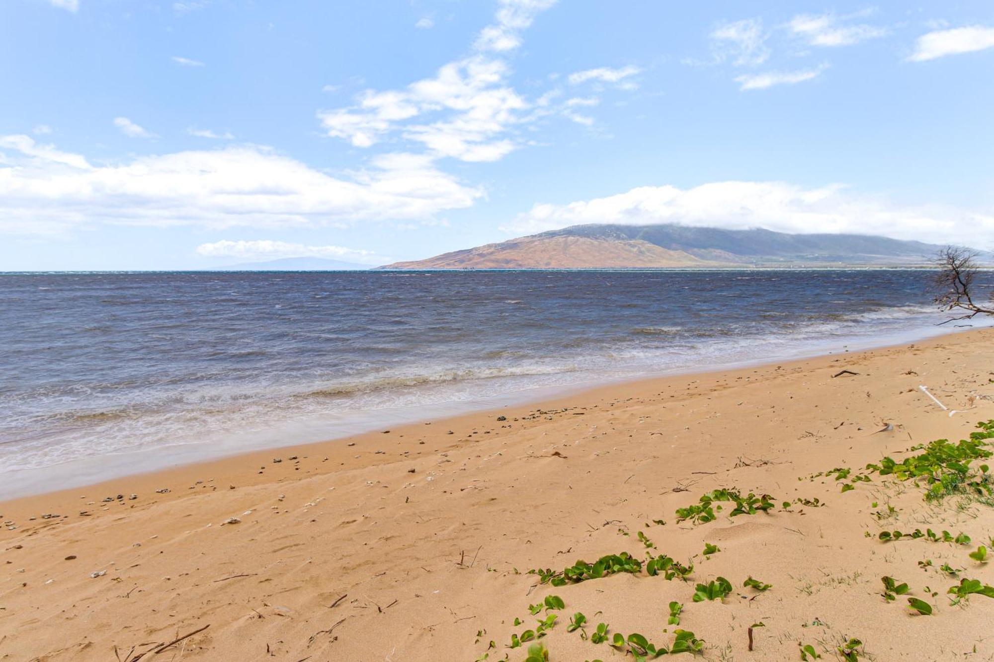 Gorgeous Oceanfront Condo With Spectacular Views! Kihei Kültér fotó