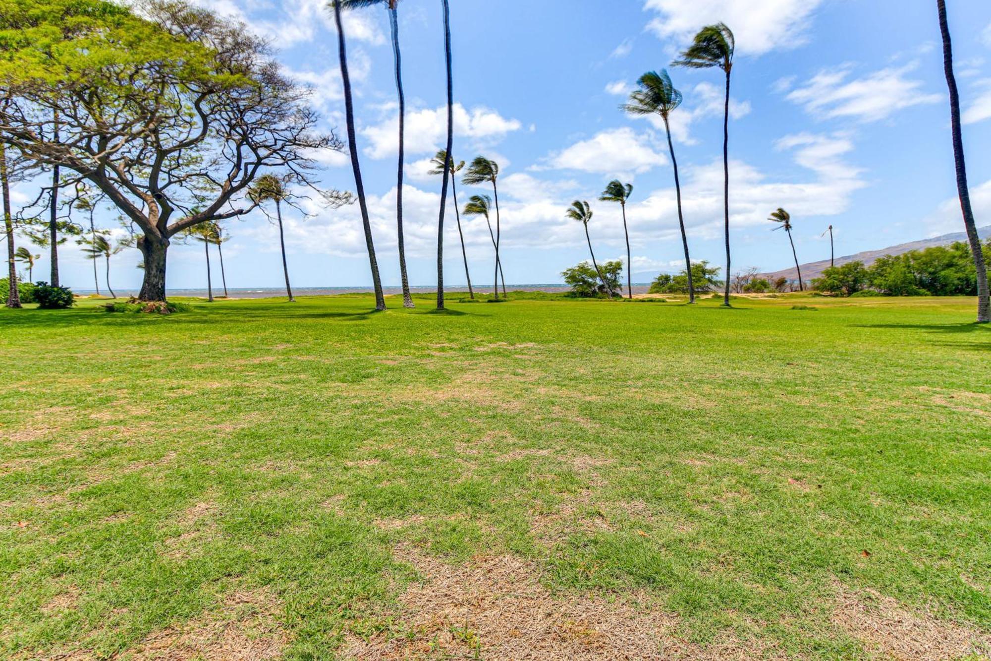 Gorgeous Oceanfront Condo With Spectacular Views! Kihei Kültér fotó